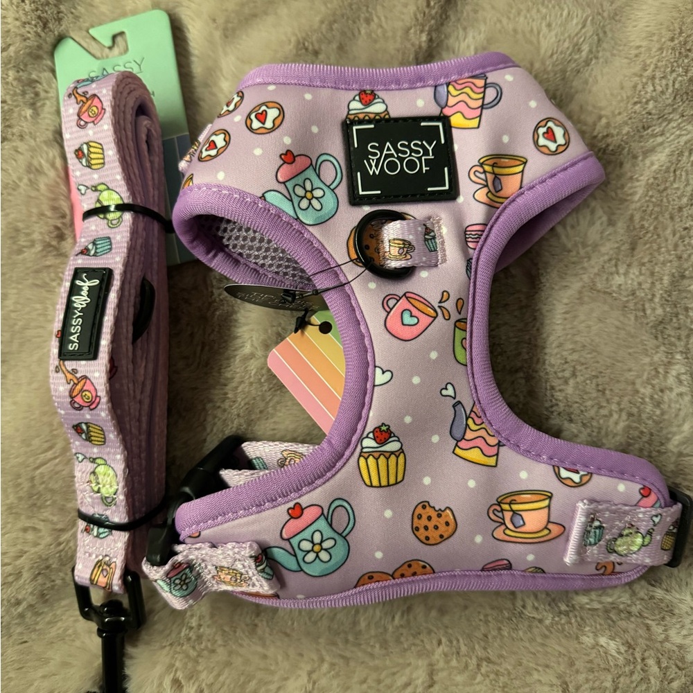 Playful Purple Dog Harness with Matching Leash